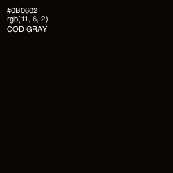 #0B0602 - Cod Gray Color Image